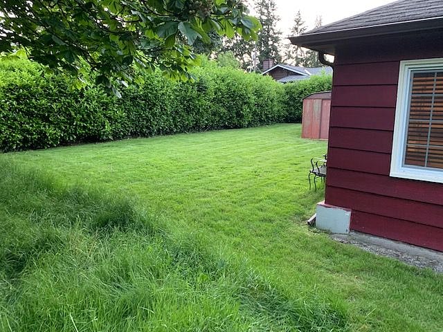 Back yard of Bungalow - this is the view out of the bedroom, very private. 