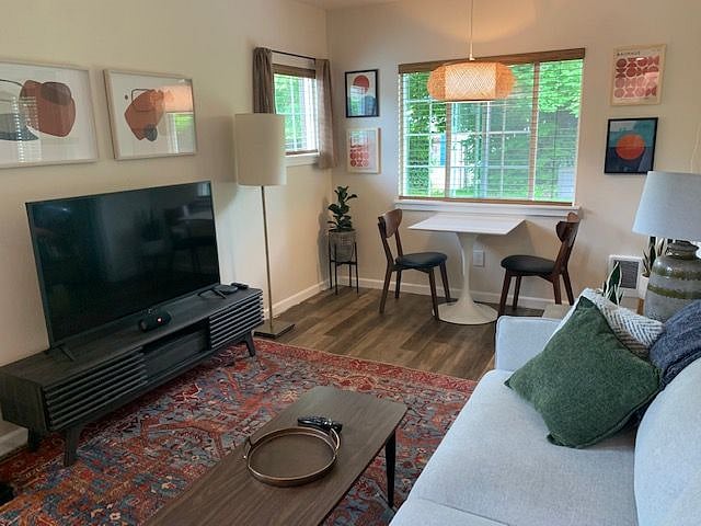 Living area - TV and windows. 