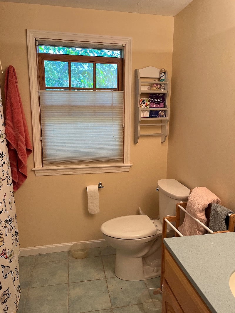 Furnished Finder property 407257_1 photo 10