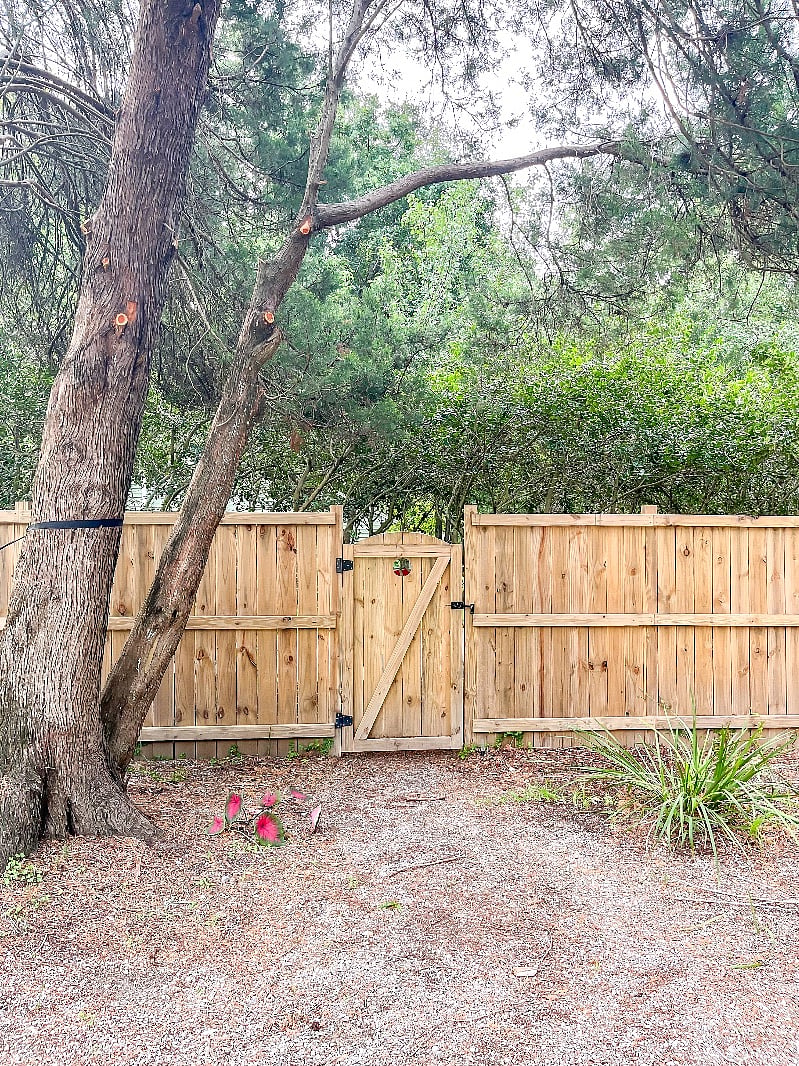 Furnished Finder property 407333_1 photo 4