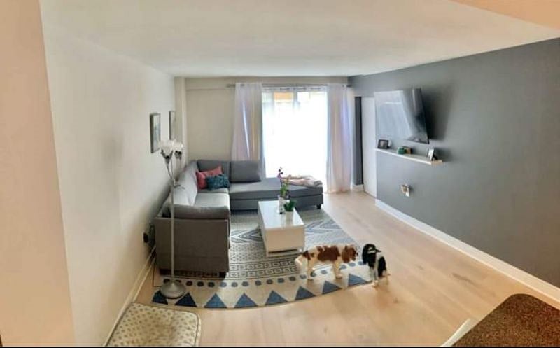 Furnished Finder property 407456_1 photo 16