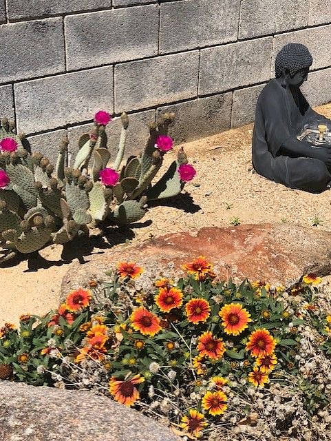 Desert landscape meditation garden. 