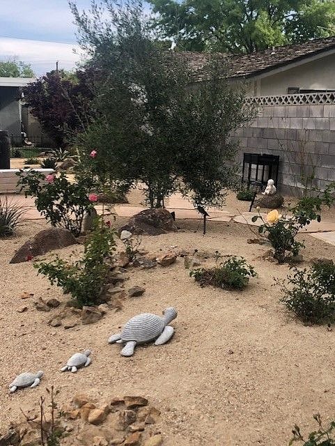 Garden fun and relaxing 