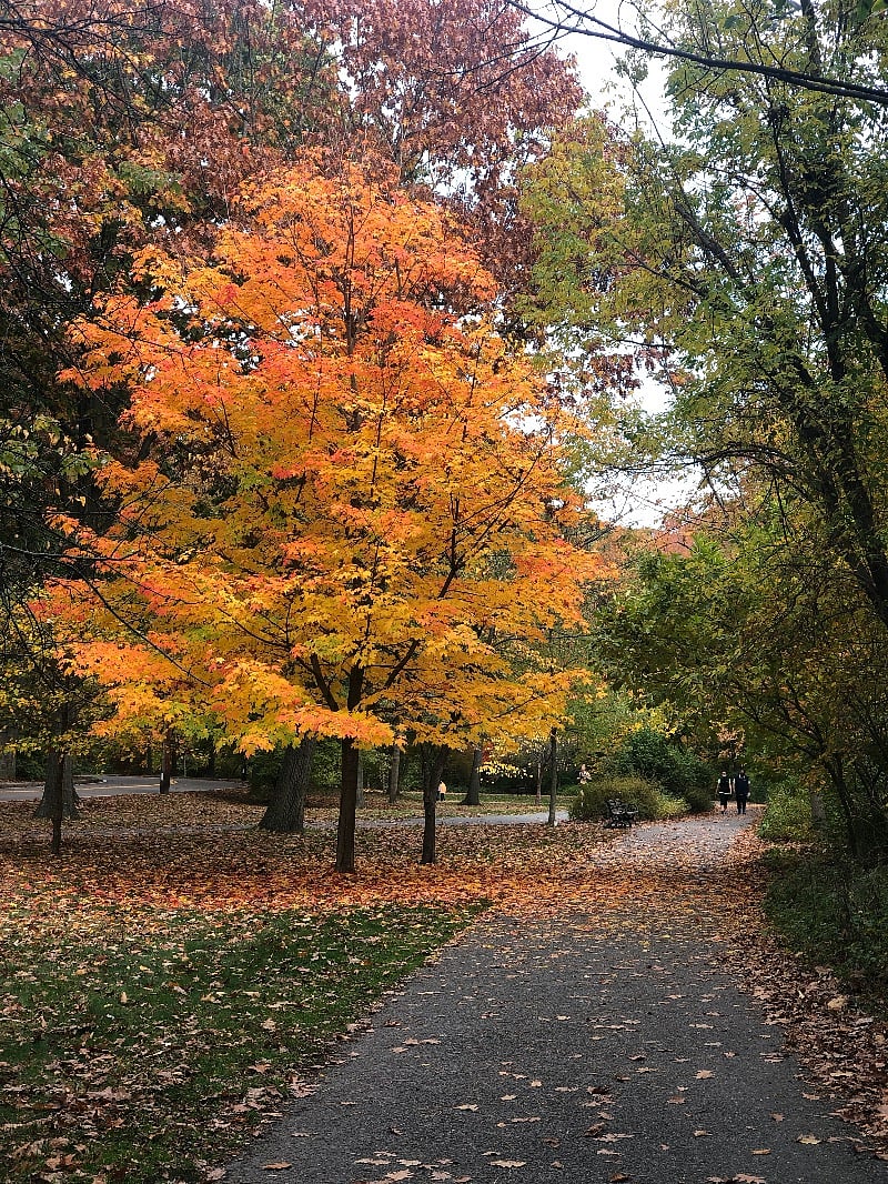 Award winning Emerald Park awaits you with its seemingly endless walking or biking trails at your doorstep