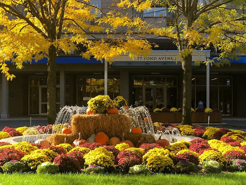 Join the Garden and Grounds Club and be a part of the seasonal planting decisions! Feel the seasons from an abundance of annual planters and perennials.
