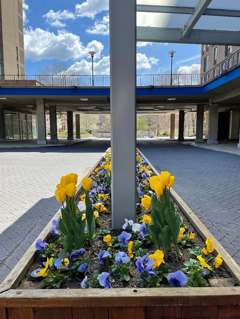 The courtyard shows off Massachusetts' seasons!