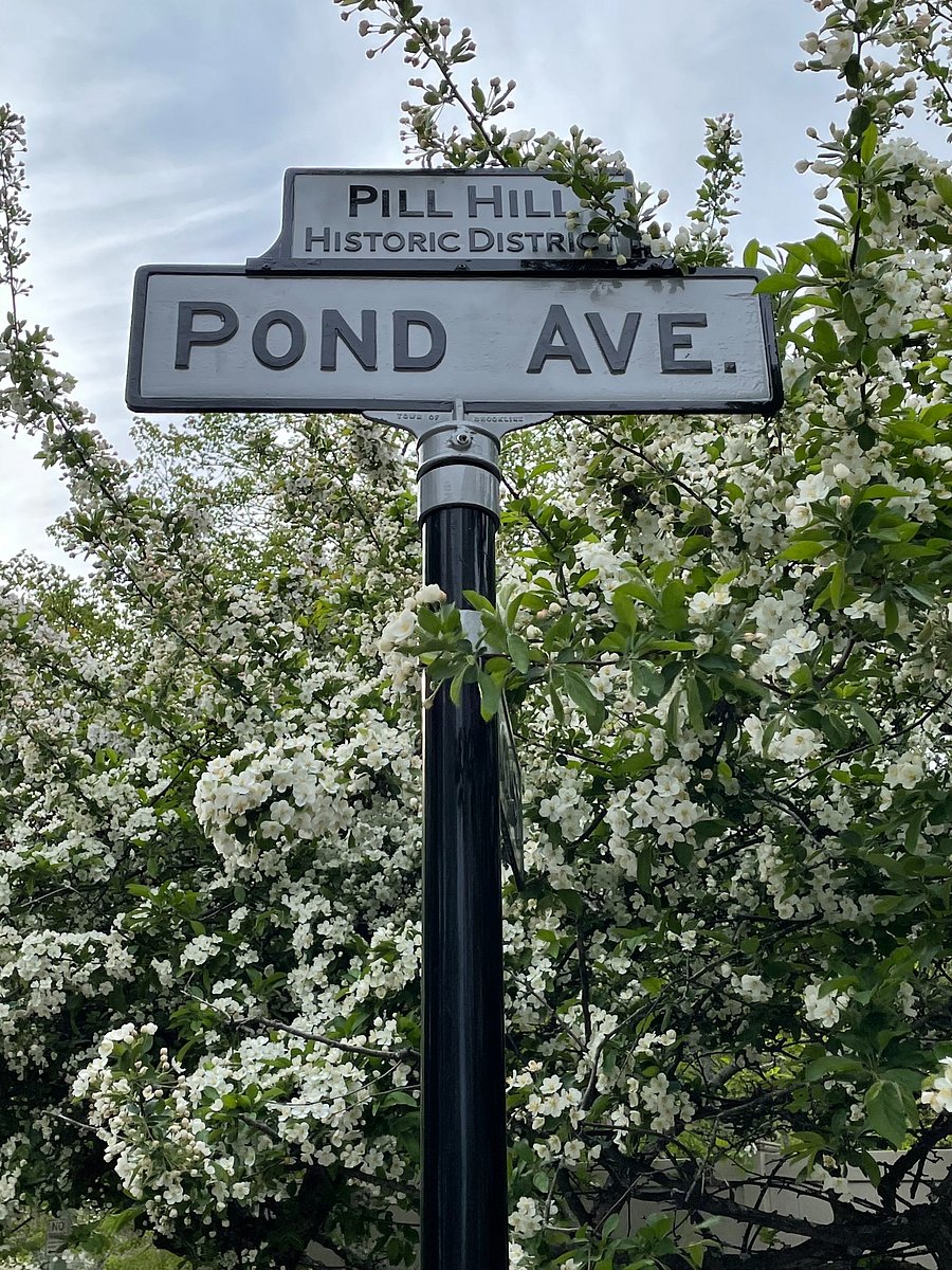 Beautiful, upscale, historic neighborhood.