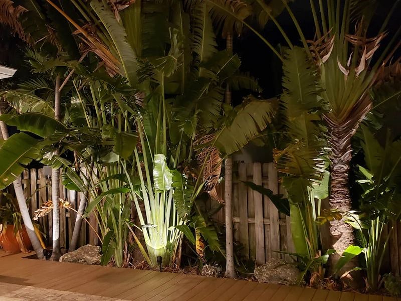 Furnished Finder property 407510_1 photo 17