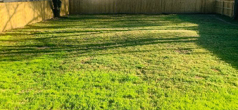 Huge fenced in backyard for pets