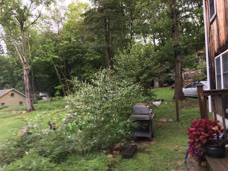 Furnished Finder property 408022_1 photo 23