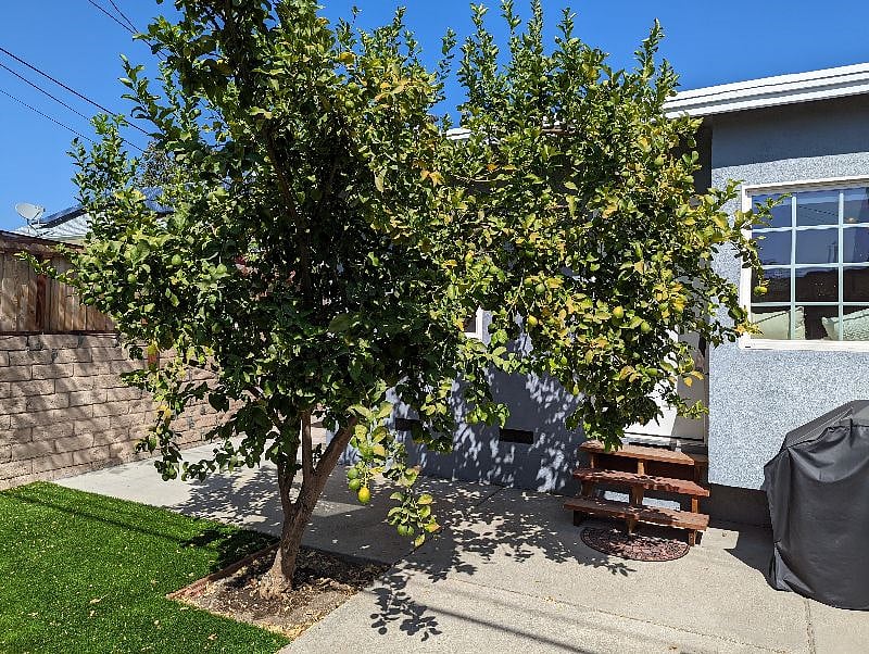Furnished Finder property 408056_1 photo 14