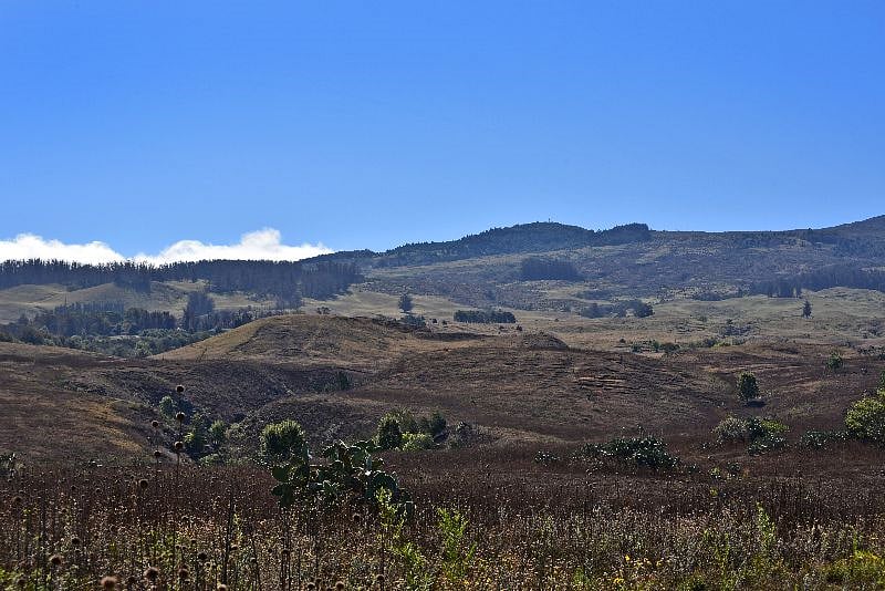 View of Haleakala from the backyard