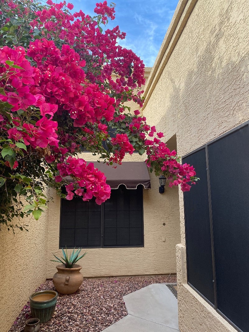 Furnished Finder property 408325_1 photo 25