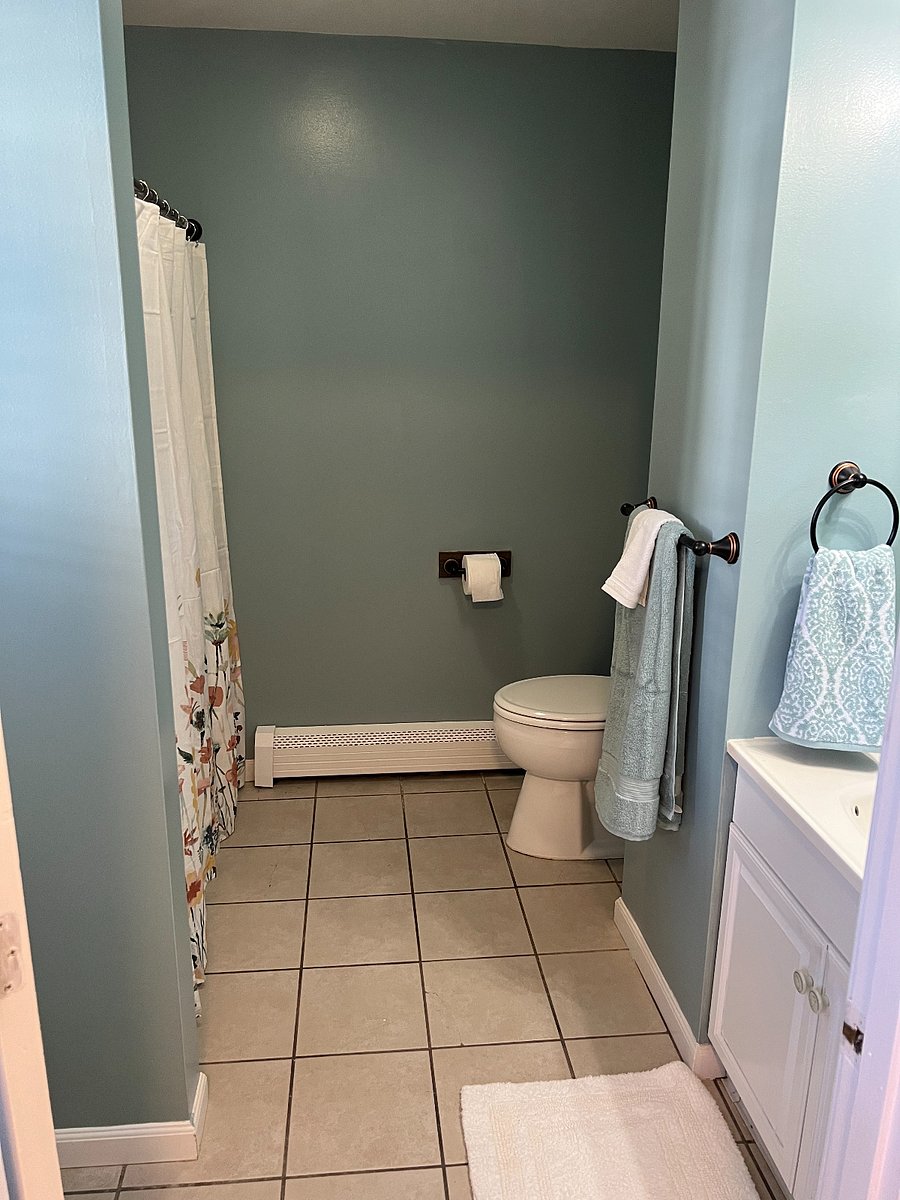 Furnished Finder property 408377_3 photo 6