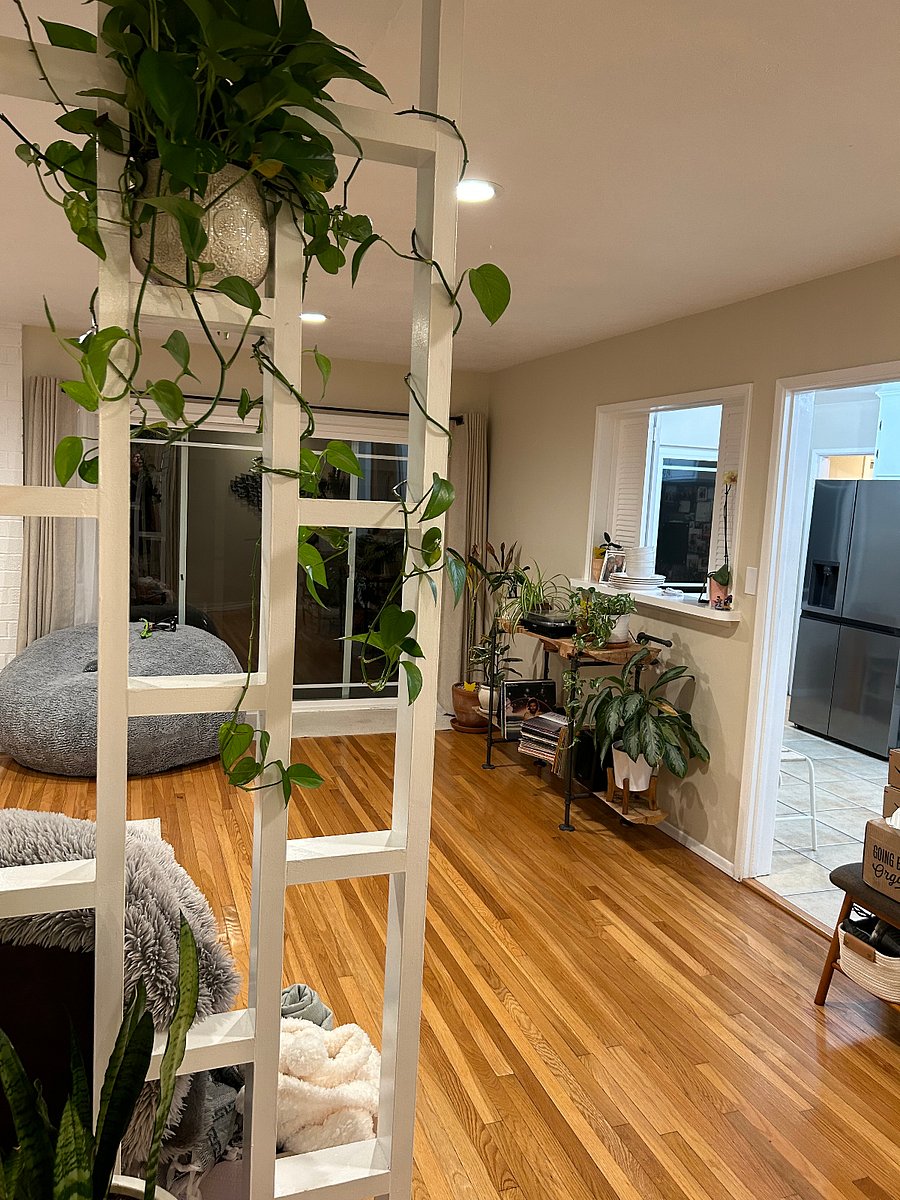 Furnished Finder property 408497_1 photo 12