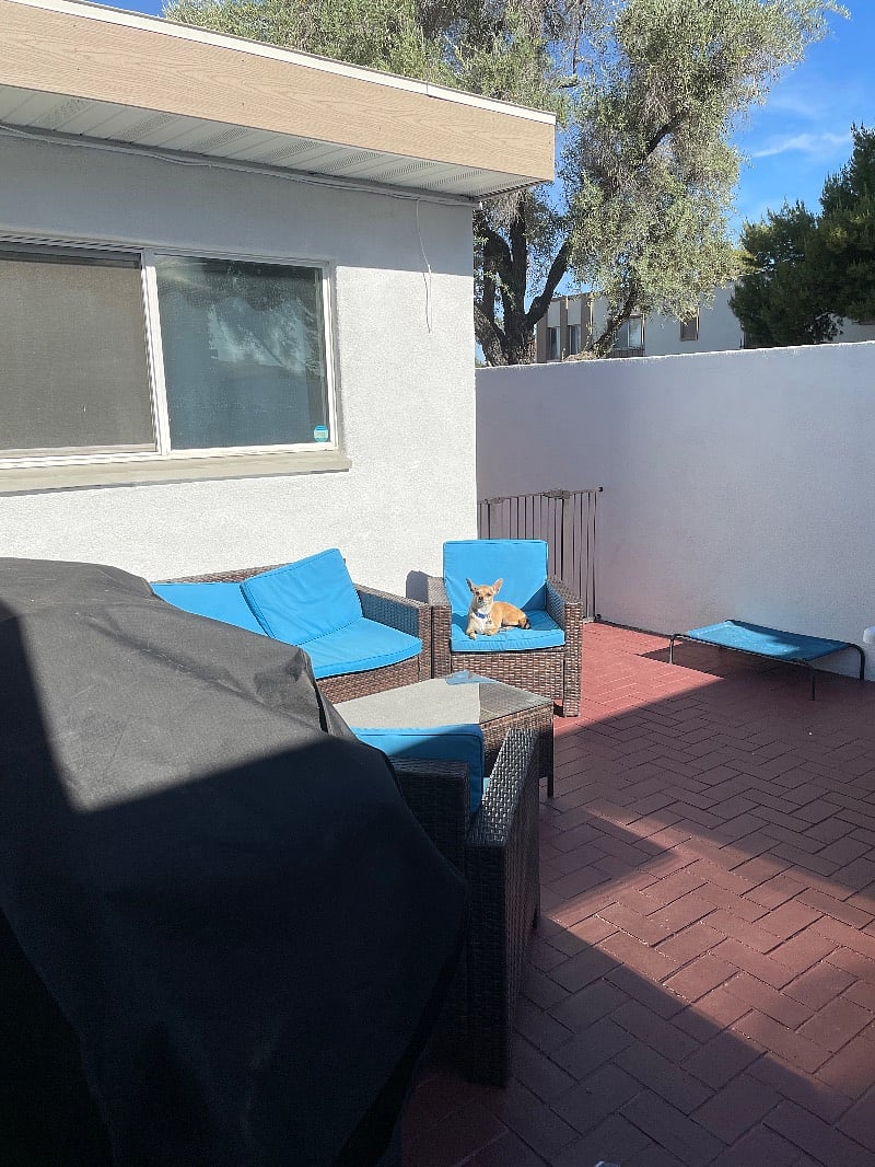 Furnished Finder property 408501_1 photo 9