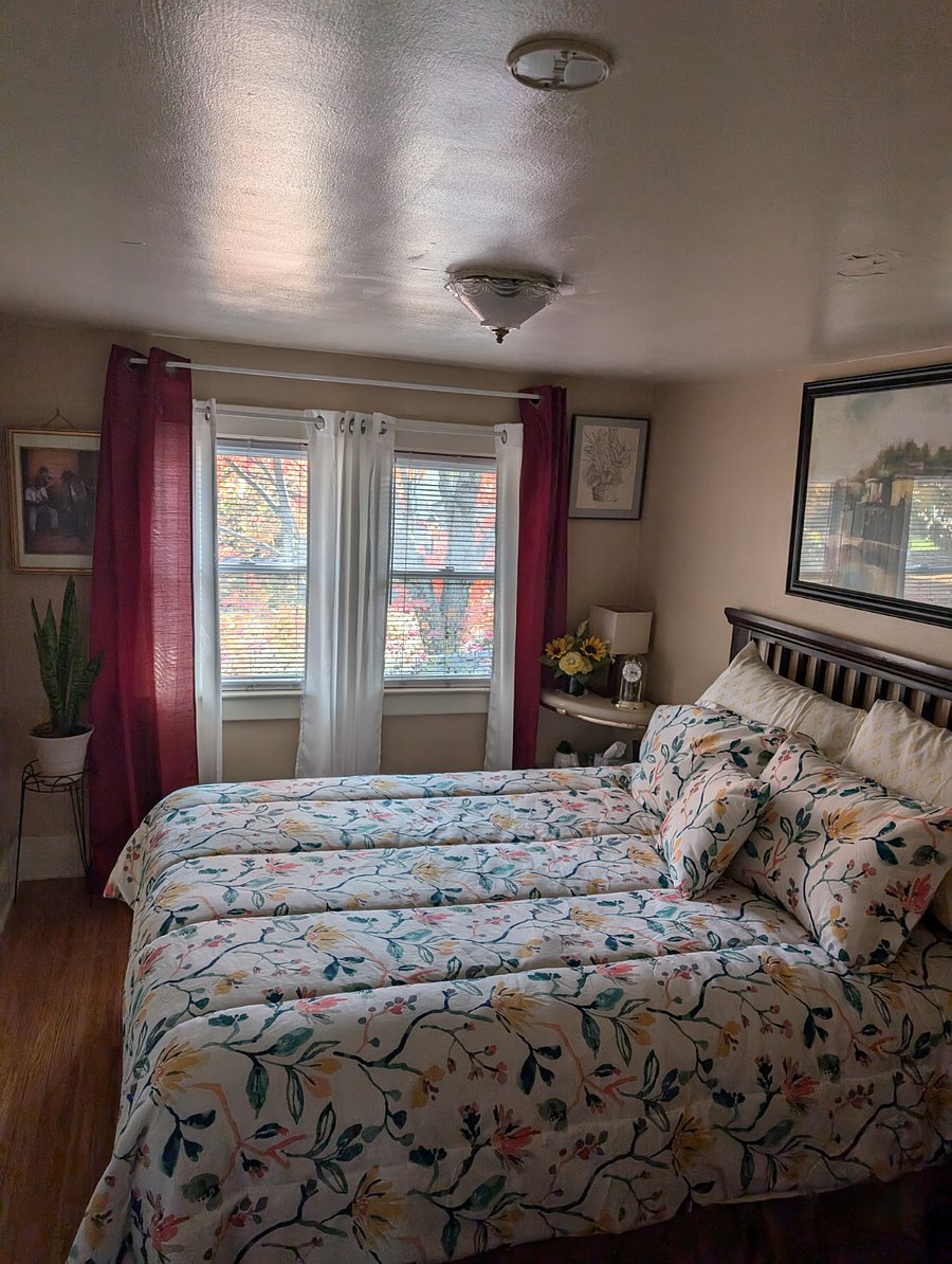 Furnished Finder property 408593_1 photo 27