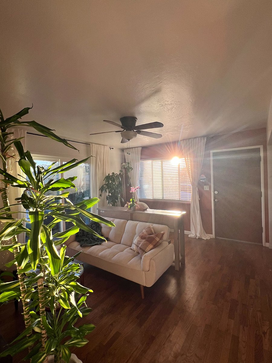 Furnished Finder property 408679_2 photo 14