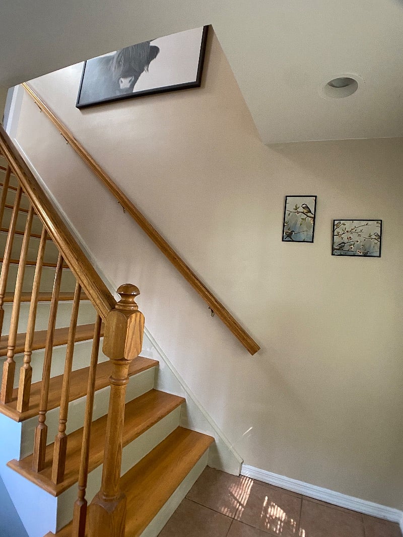 Furnished Finder property 408782_1 photo 13