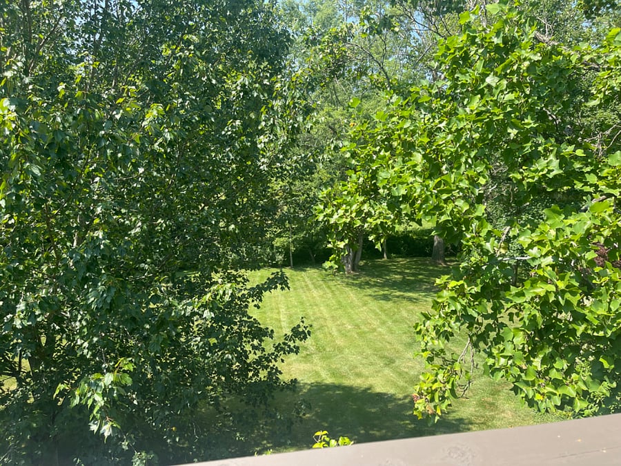 Furnished Finder property 408886_1 photo 10