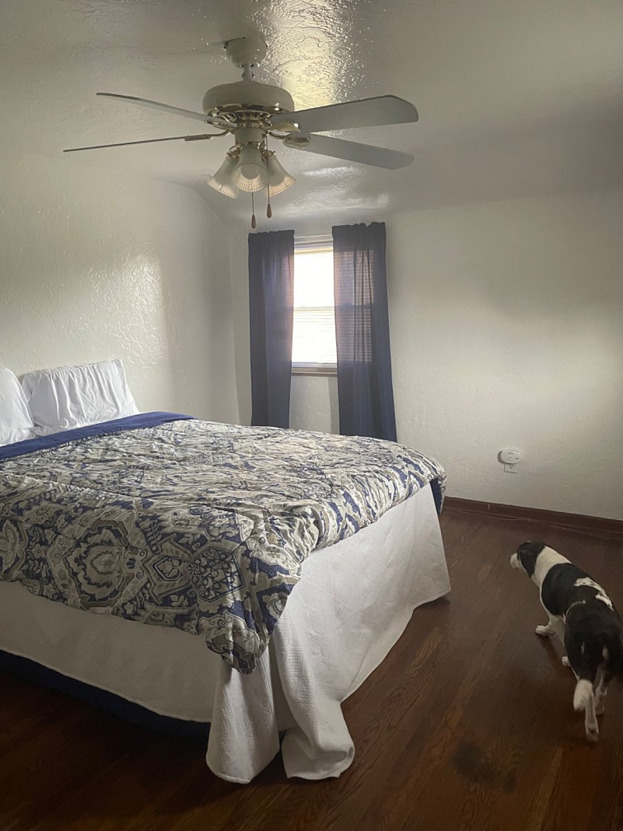 Furnished Finder property 408932_1 photo 20