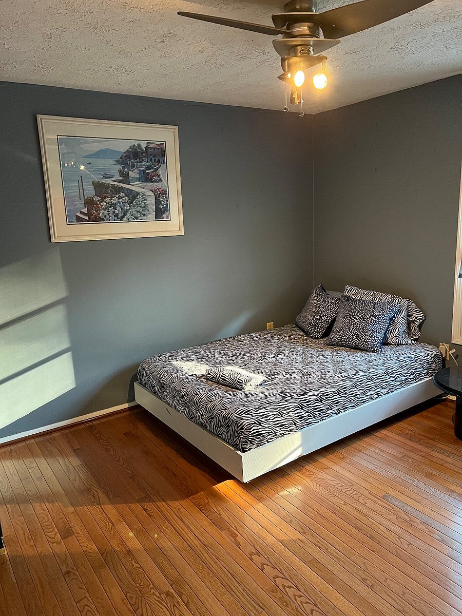 Furnished Finder property 409072_1 photo 13