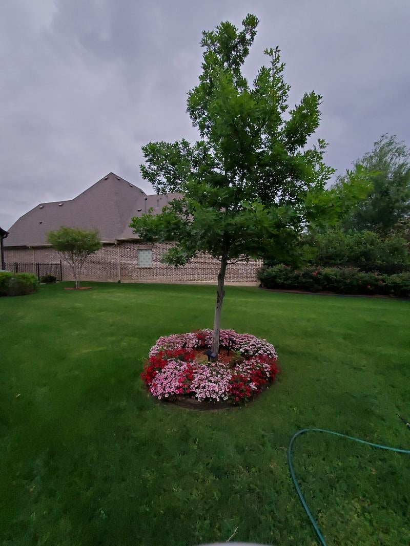 Furnished Finder property 409281_1 photo 11