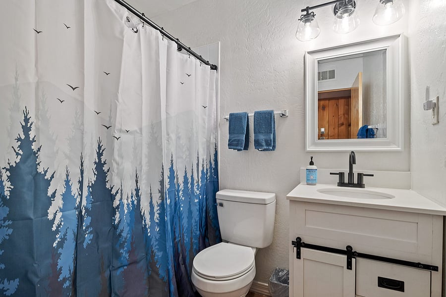 Hallway Bathroom