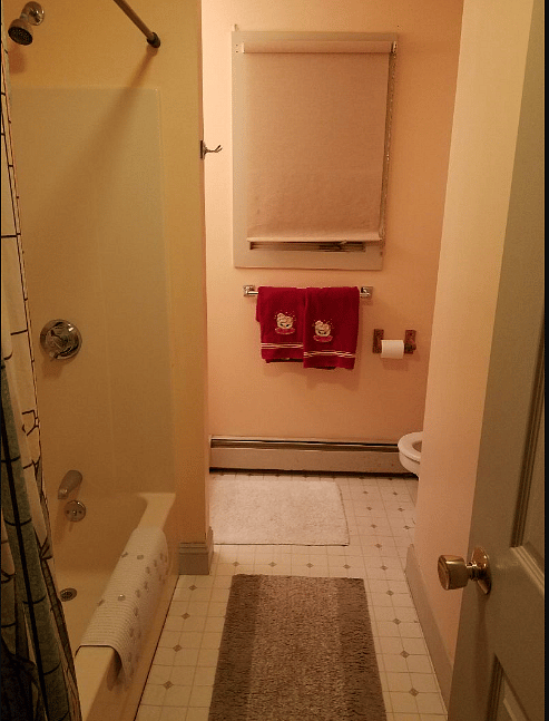 Furnished Finder property 409673_2 photo 9