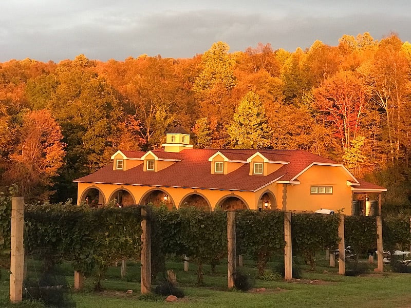 Paradise Hills Vineyard & Winery,
8 minute drive