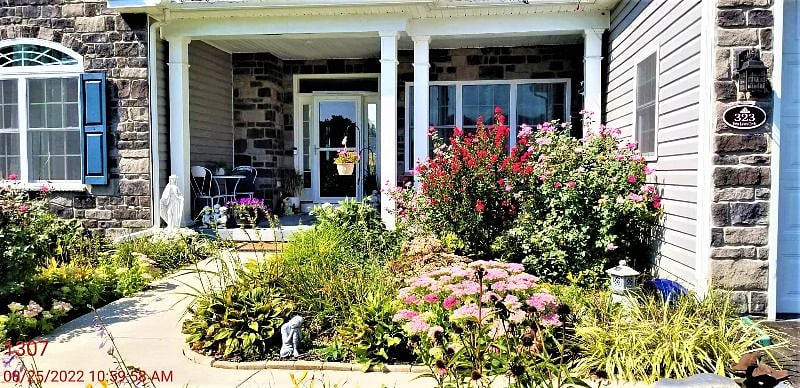 Front garden