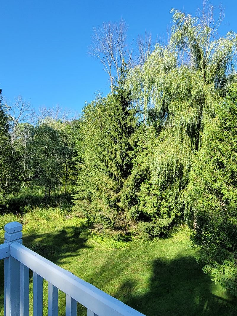 Furnished Finder property 409990_1 photo 9