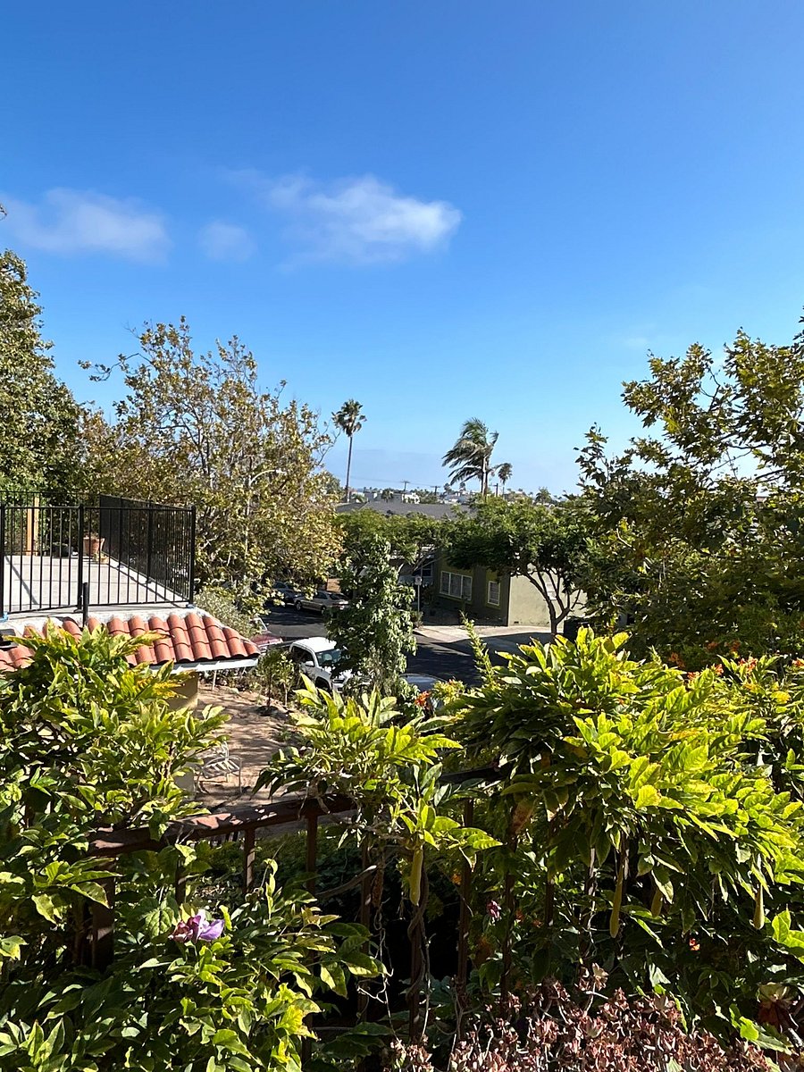 Furnished Finder property 410099_1 photo 29