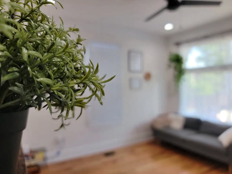 Furnished Finder property 410146_1 photo 4