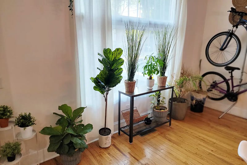Furnished Finder property 410146_1 photo 11