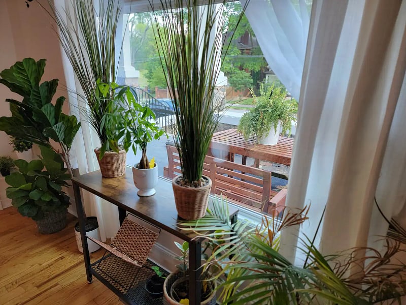 Furnished Finder property 410146_1 photo 14