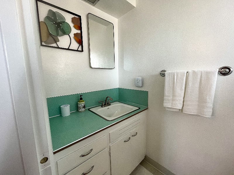 Master bedroom bathroom