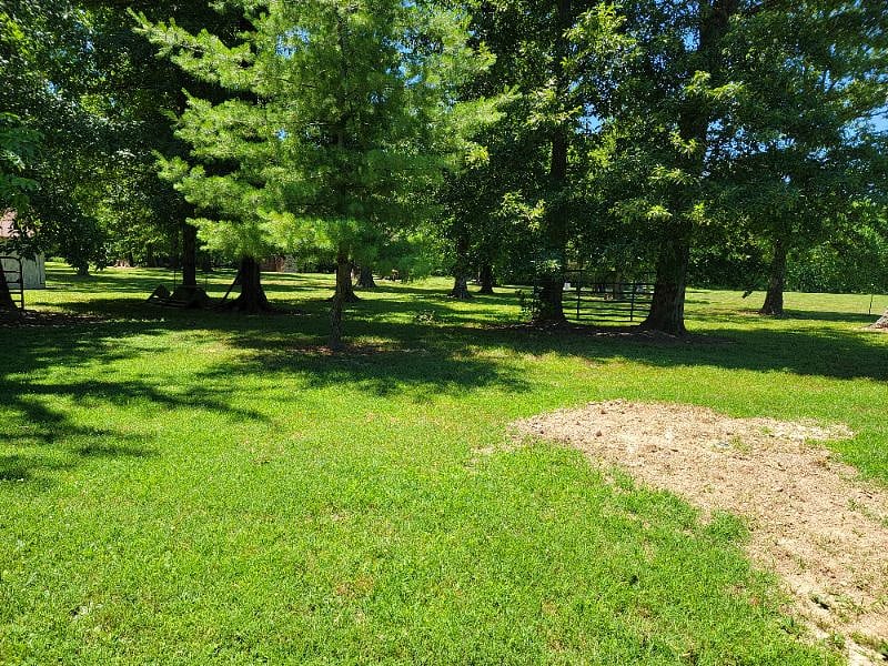 Furnished Finder property 410489_1 photo 17