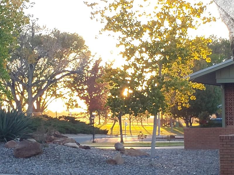 Park view