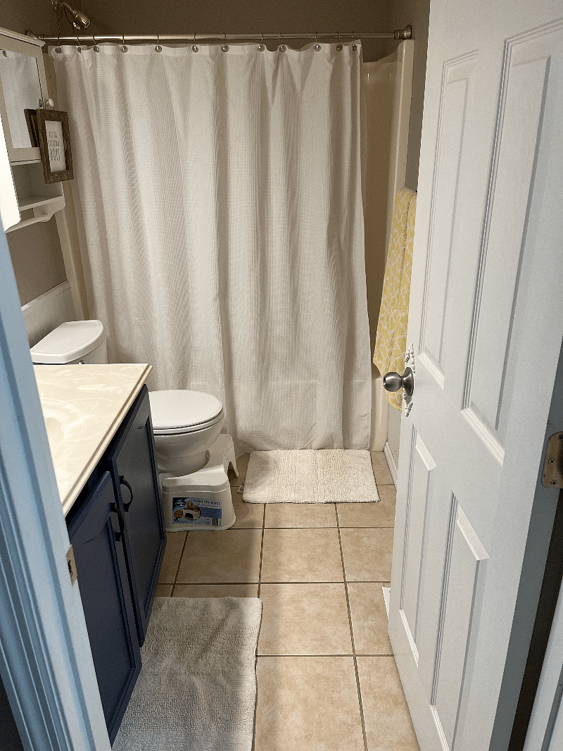 Hall Bathroom with bathtub