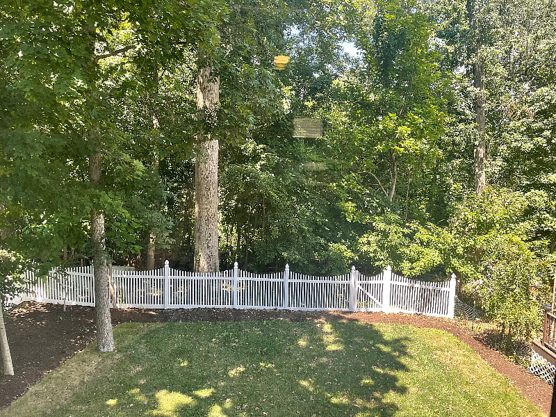 View from your windows. Yard access is not included in the unit rental.