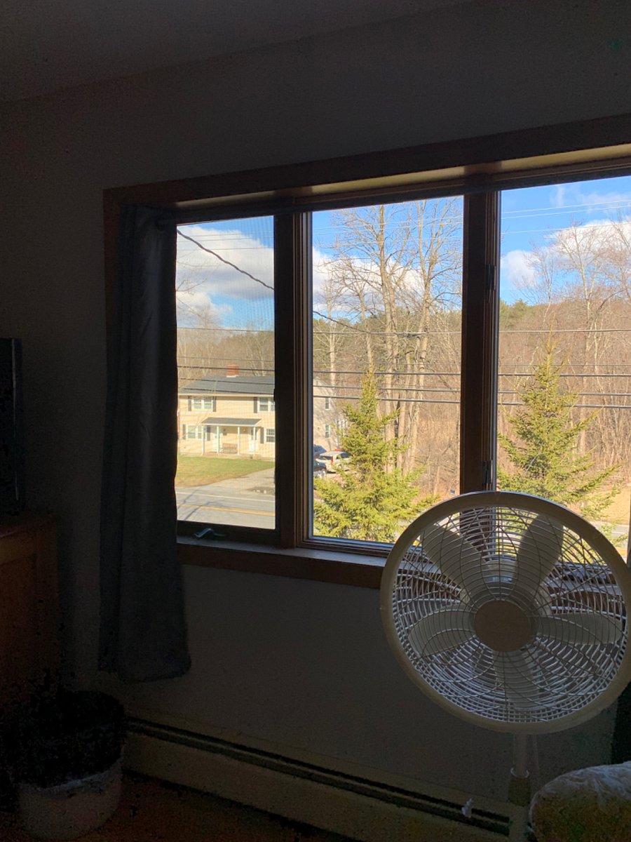Furnished Finder property 410731_1 photo 8