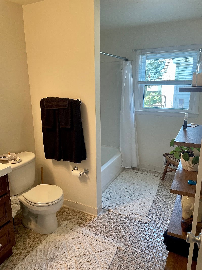 Guest bathroom