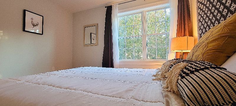 Furnished Finder property 411000_1 photo 60