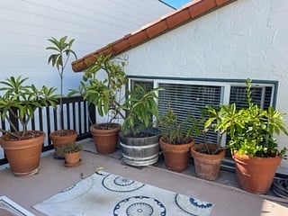 Furnished Finder property 411329_1 photo 12