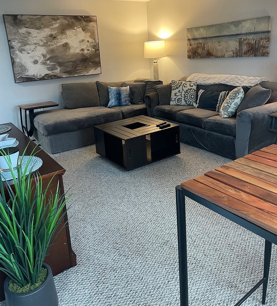Living room couches and coffee table