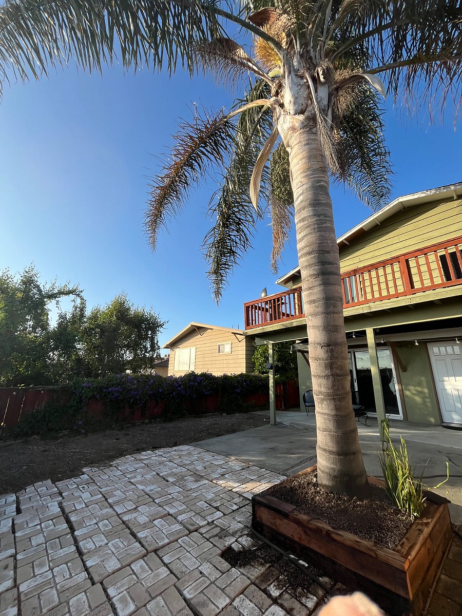 Furnished Finder property 411773_1 photo 25