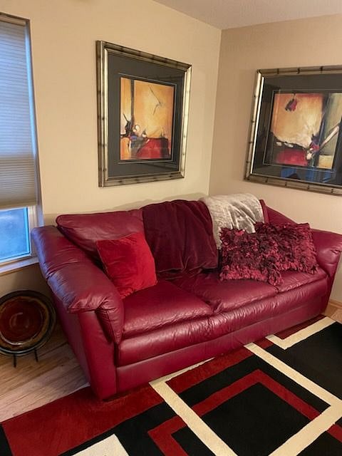 Living Room Couch