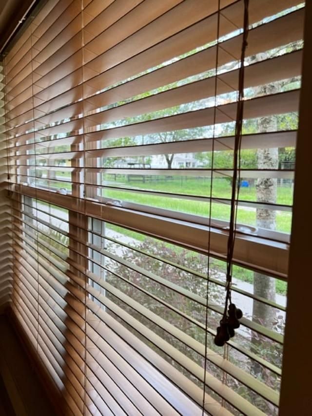 window peek from dinning nook of the trees in the property