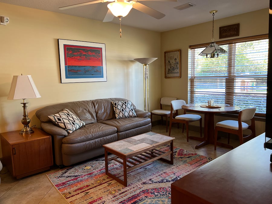 living room with sleeper sofa